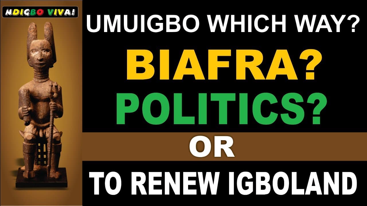 “Biafra? Politics? Or A New Igbo Strategy?